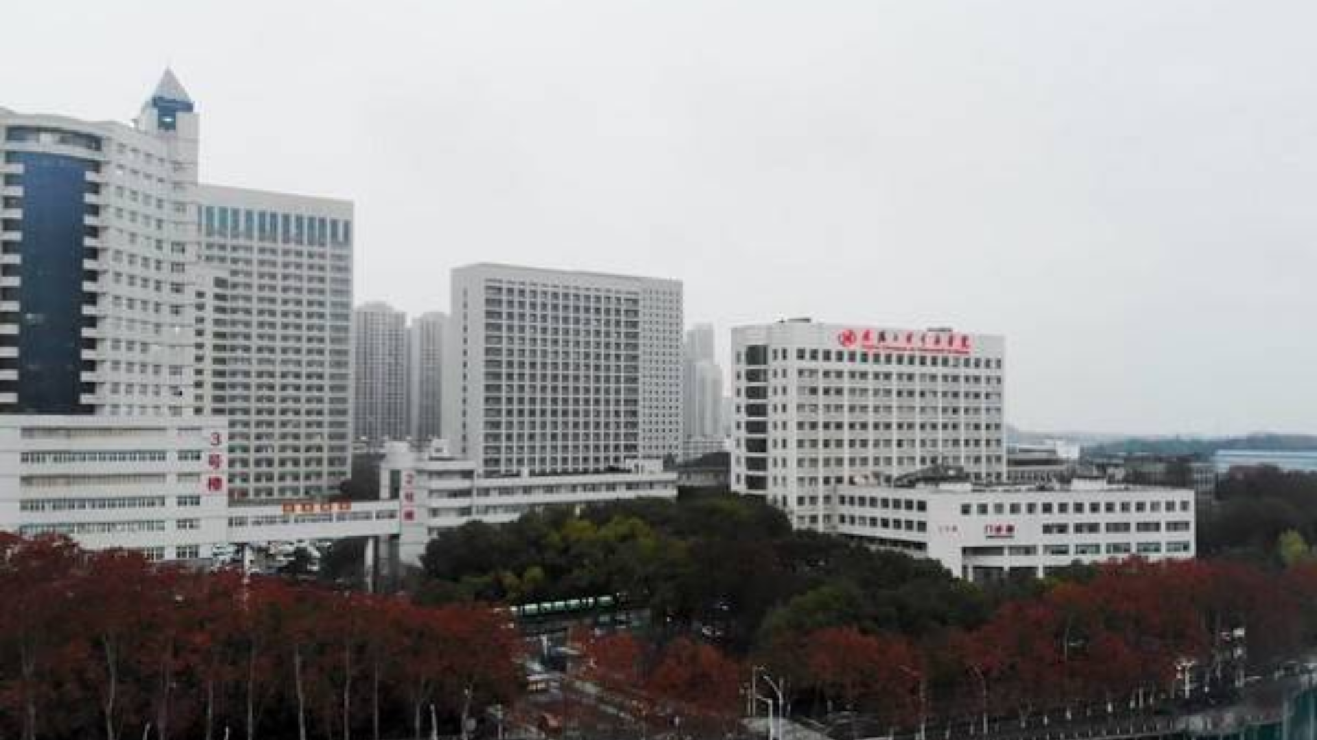 战“疫”记录《武汉医院、医生、武汉人生活实况》